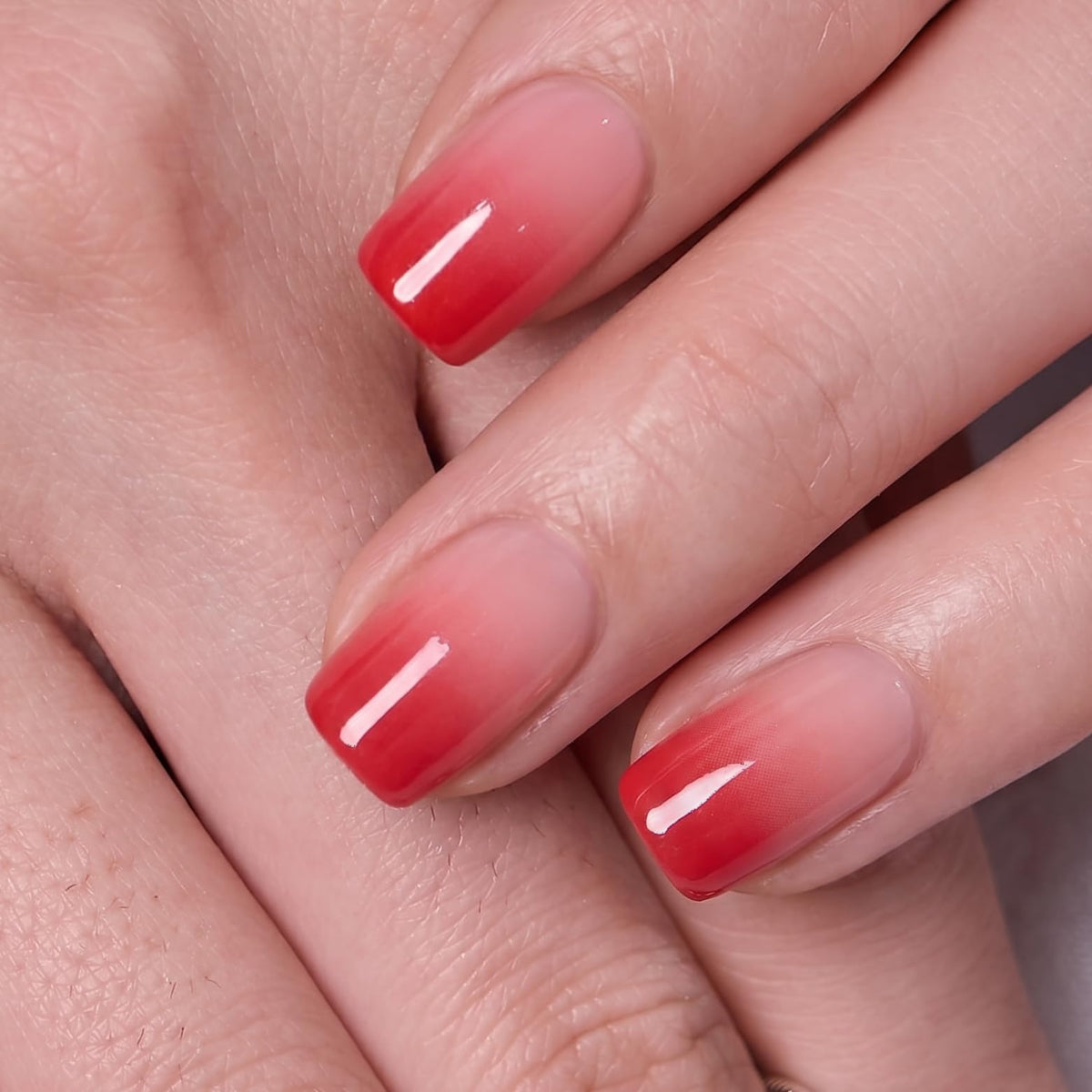 CurvLife Short Square Ombre Cat Eye Press On Nails, Obsidian Fade Black